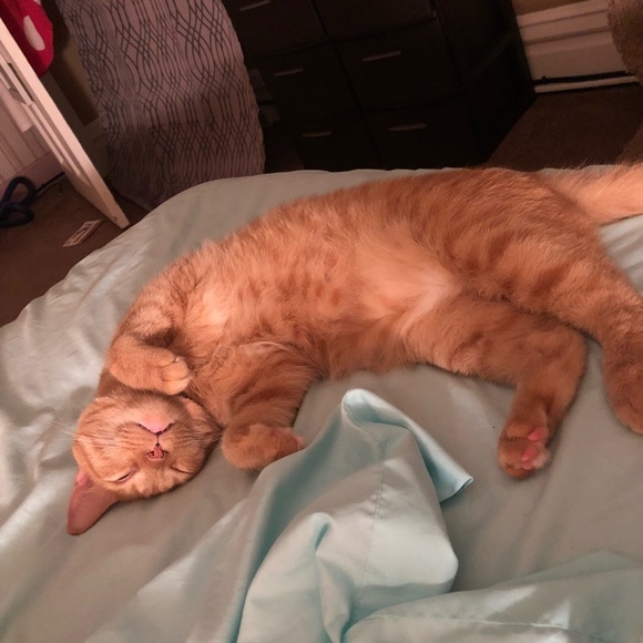 Hi Everyone I’m Andrea ❤️❤️❤️ - Picture 3 of 4